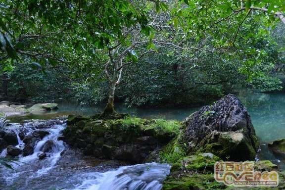 最近大家都在说“消费降级”，你的消费水平降了么？